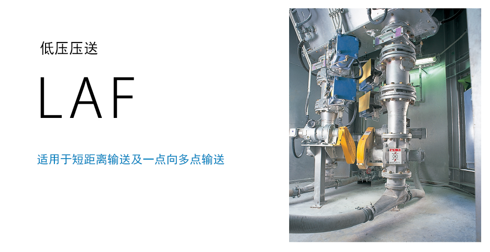 云开体app官网入口