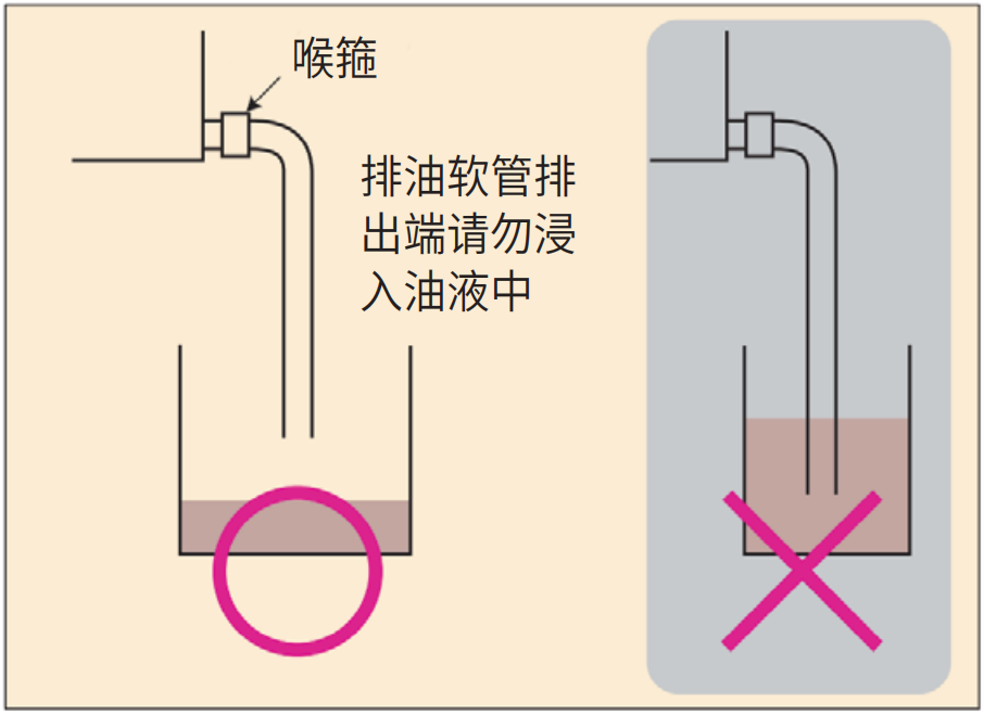 云开体app官网入口